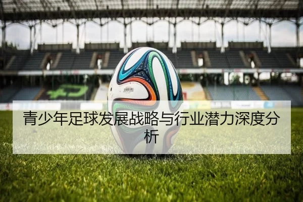 青少年足球发展战略与行业潜力深度分析